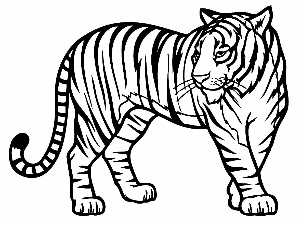 Desenhos De Tigre Para Colorir Bora Colorir