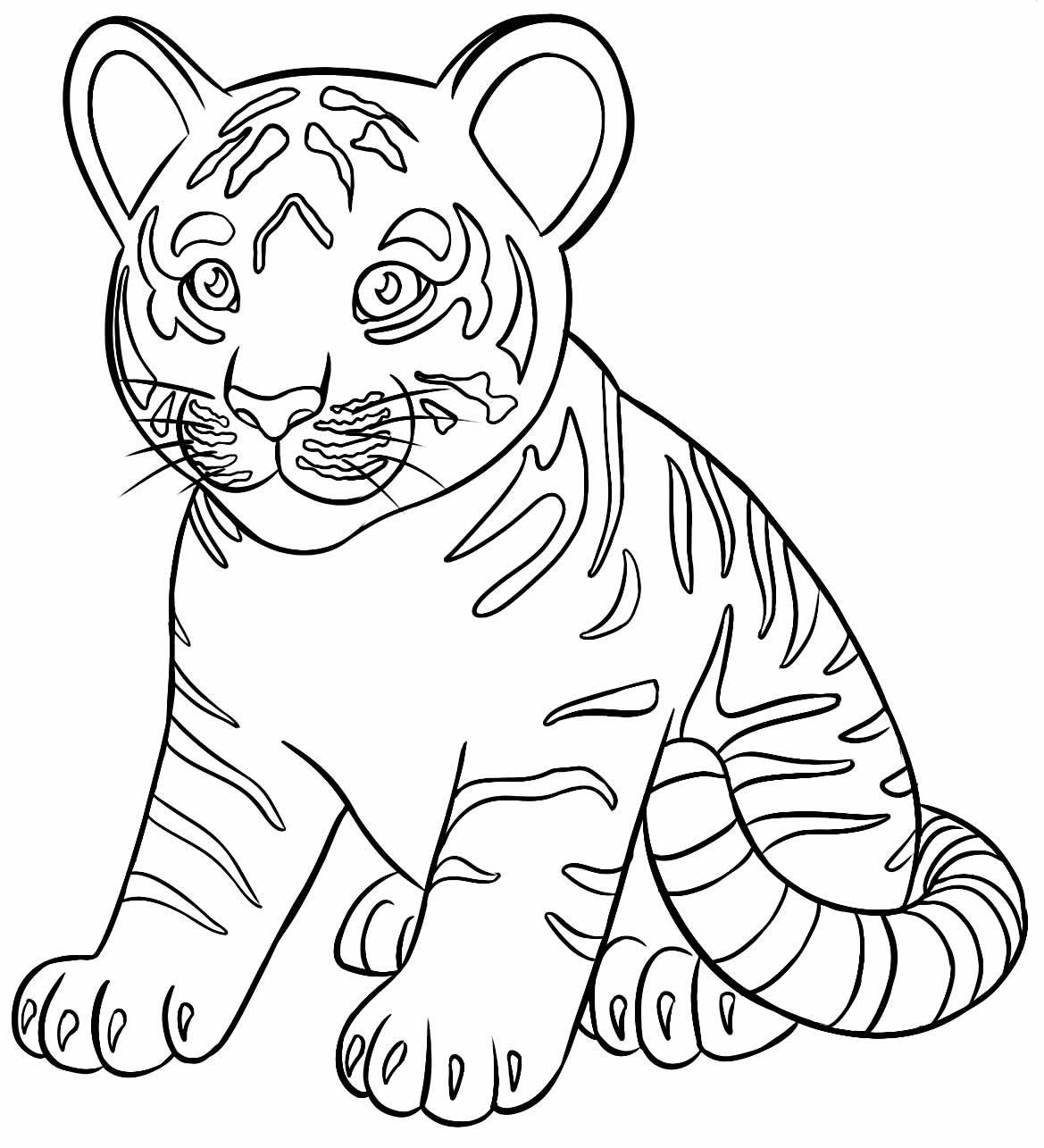 Desenhos De Tigre Para Colorir Bora Colorir