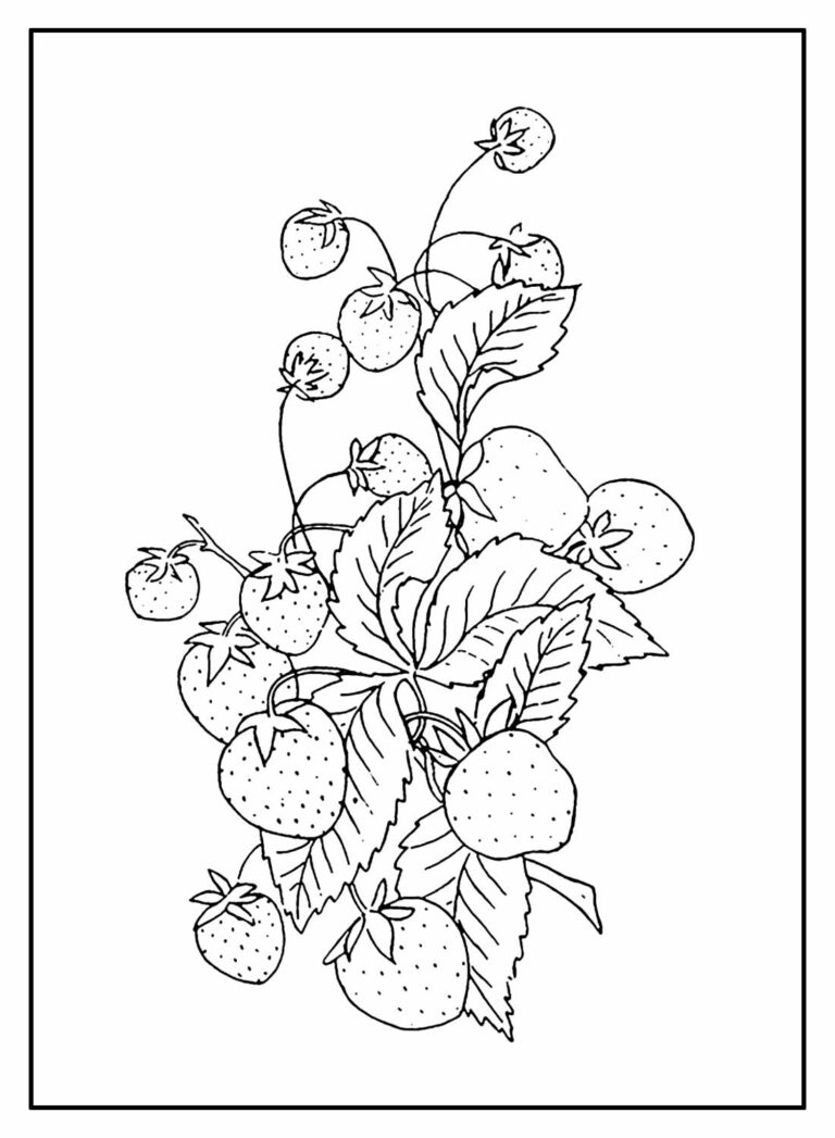 Desenhos De Morango Para Colorir Bora Colorir