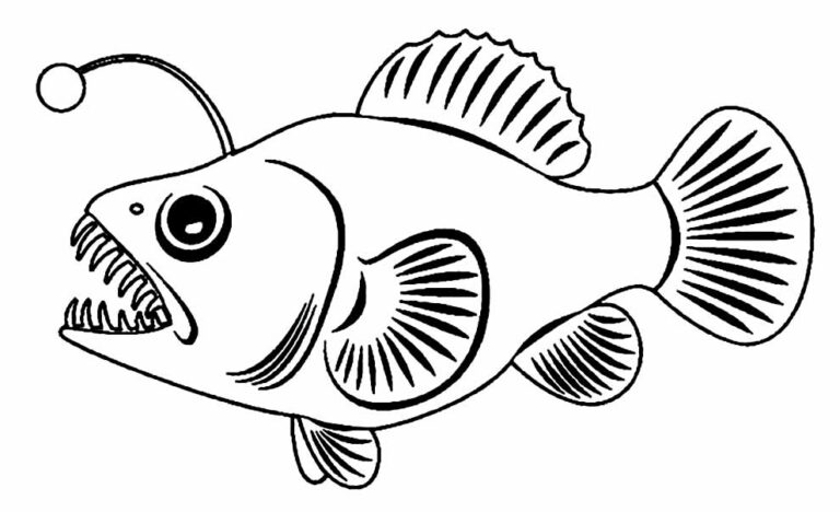 Desenhos Para Colorir De Peixes Bora Colorir