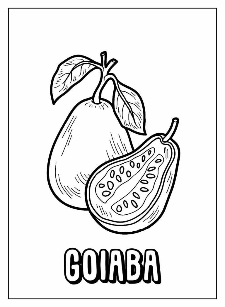 Desenhos De Frutas Nomes Para Colorir Bora Colorir