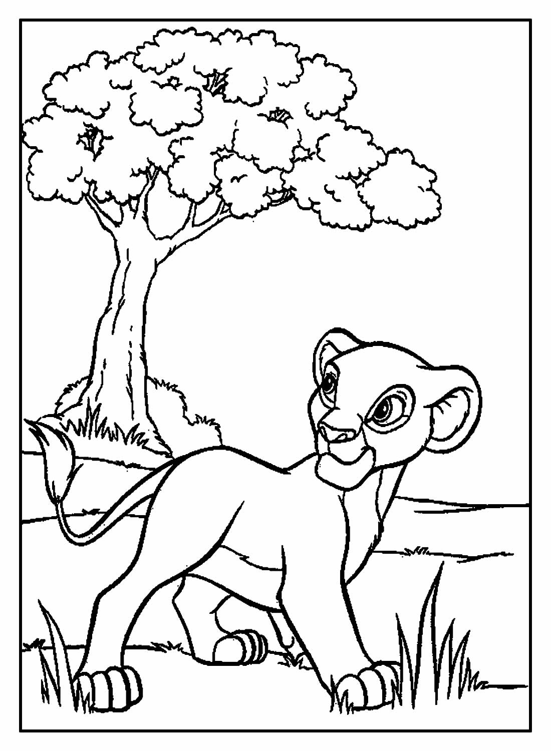 Desenhos Do Simba Para Colorir Bora Colorir