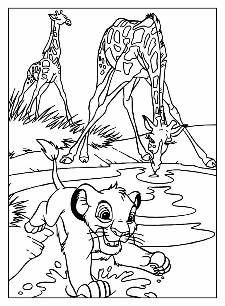 Desenhos Do Simba Para Colorir Bora Colorir