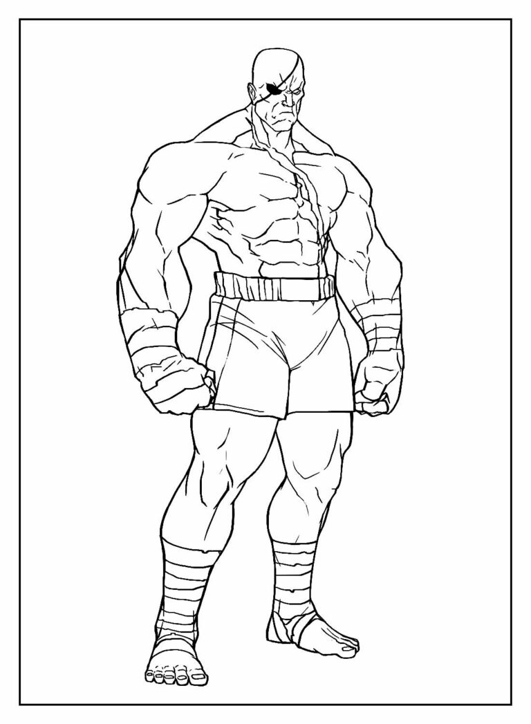 Desenhos De Street Fighter Para Colorir Bora Colorir