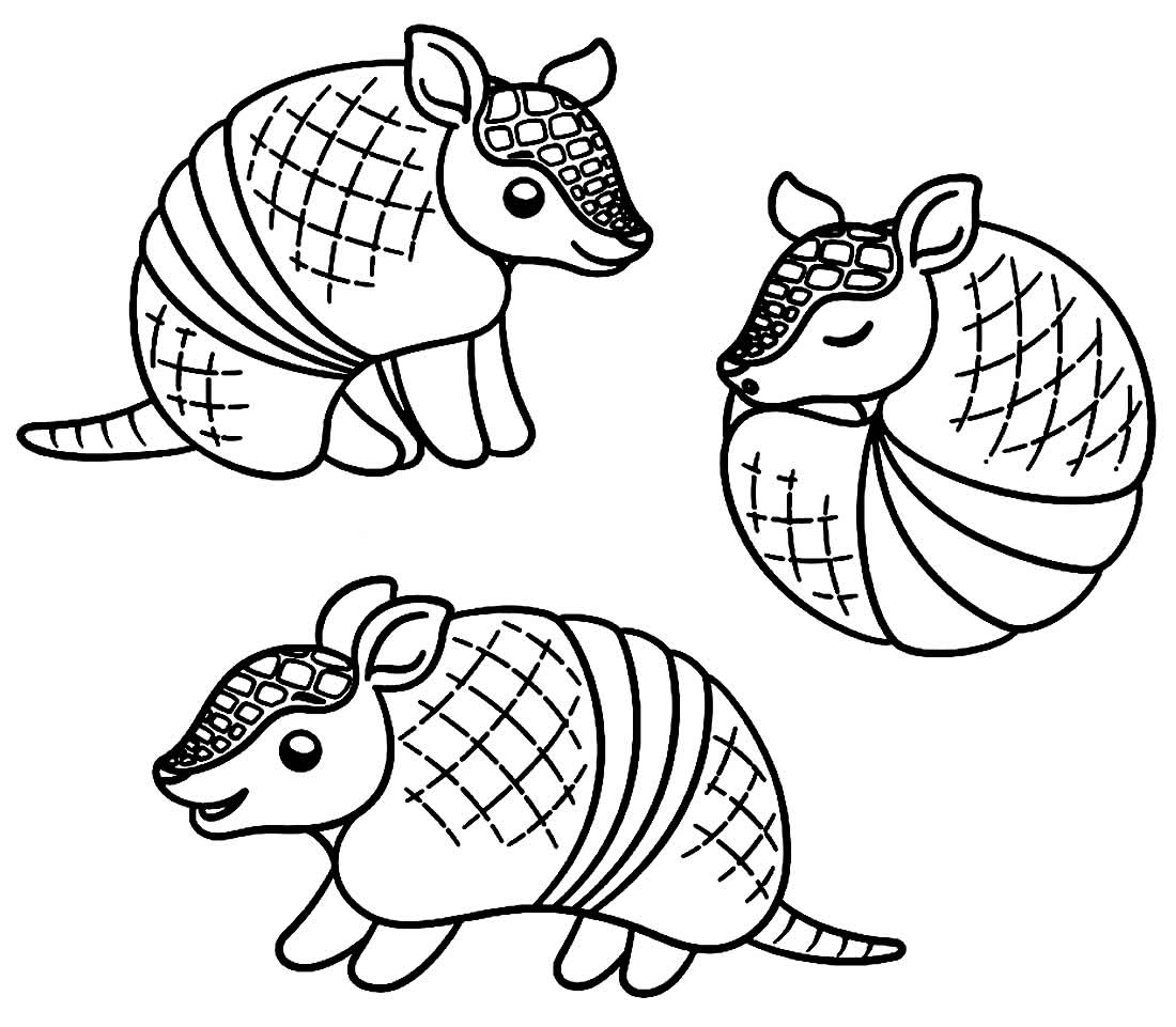 Desenhos De Tatu Para Colorir Bora Colorir