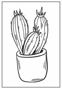 Desenhos De Cactos Para Colorir Bora Colorir