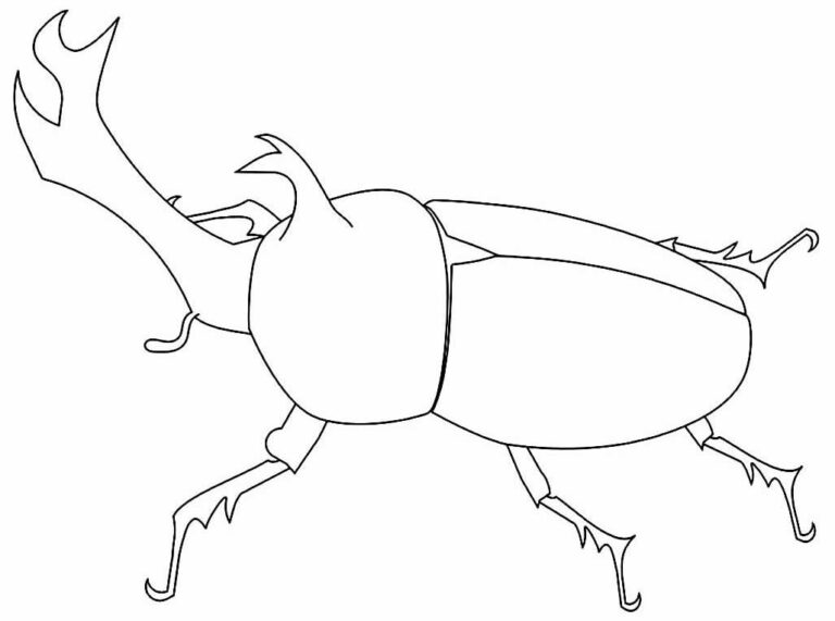 Desenhos De Besouro Para Colorir Bora Colorir