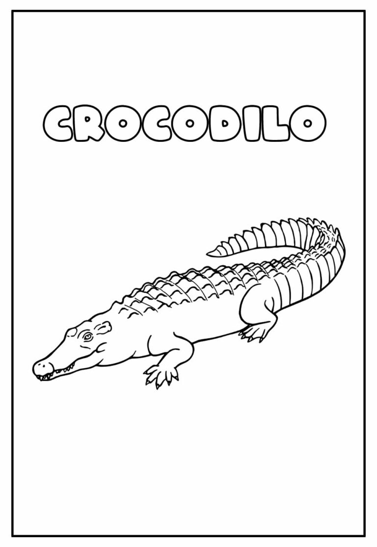 Desenhos De Crocodilo Para Colorir Bora Colorir