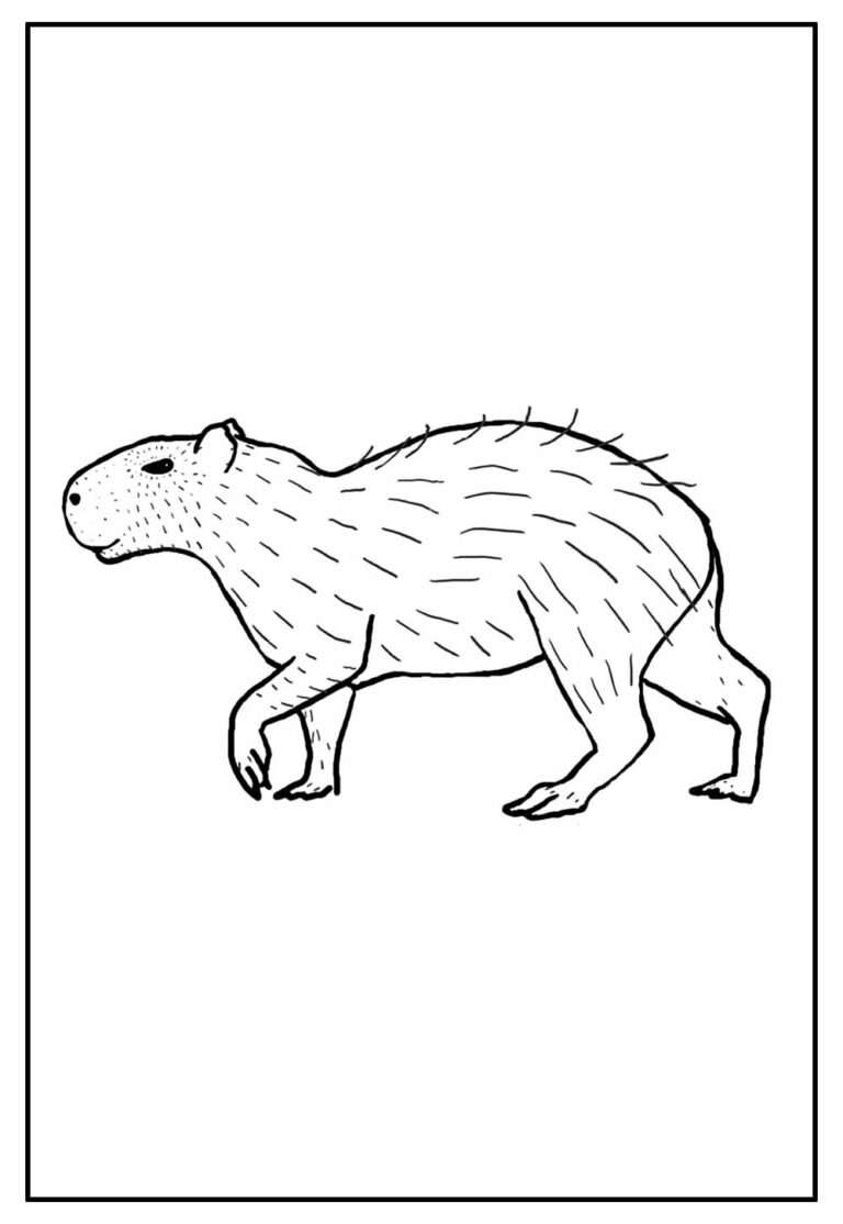 Desenhos De Capivara Para Colorir Bora Colorir