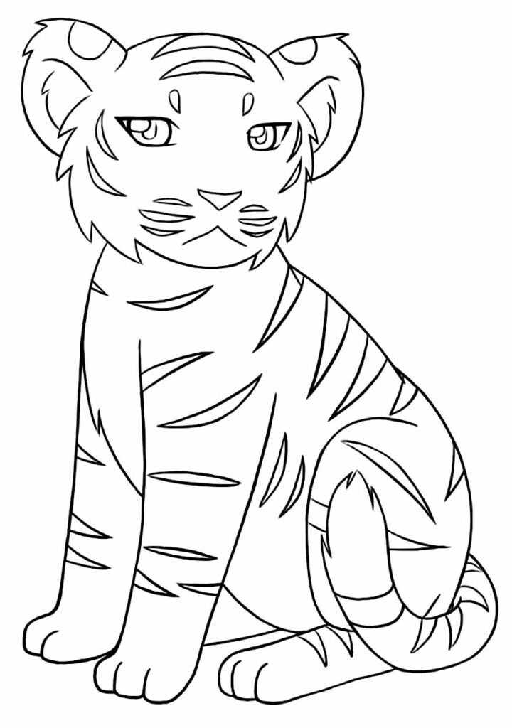 Tigre para colorir