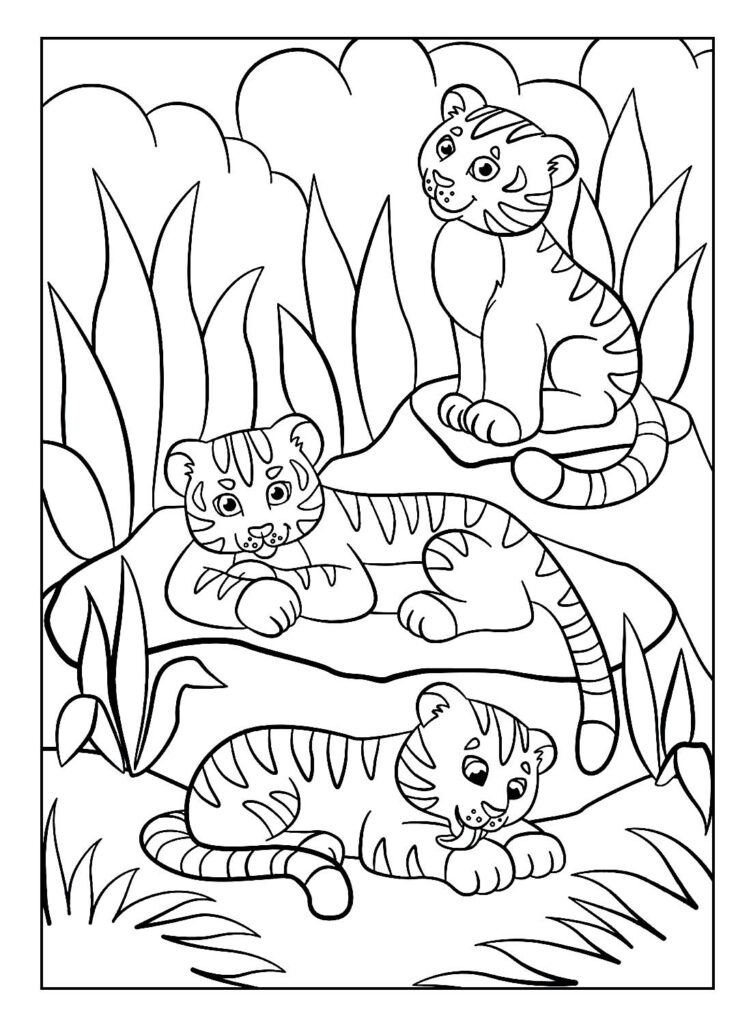 Desenhos para colorir de Tigre