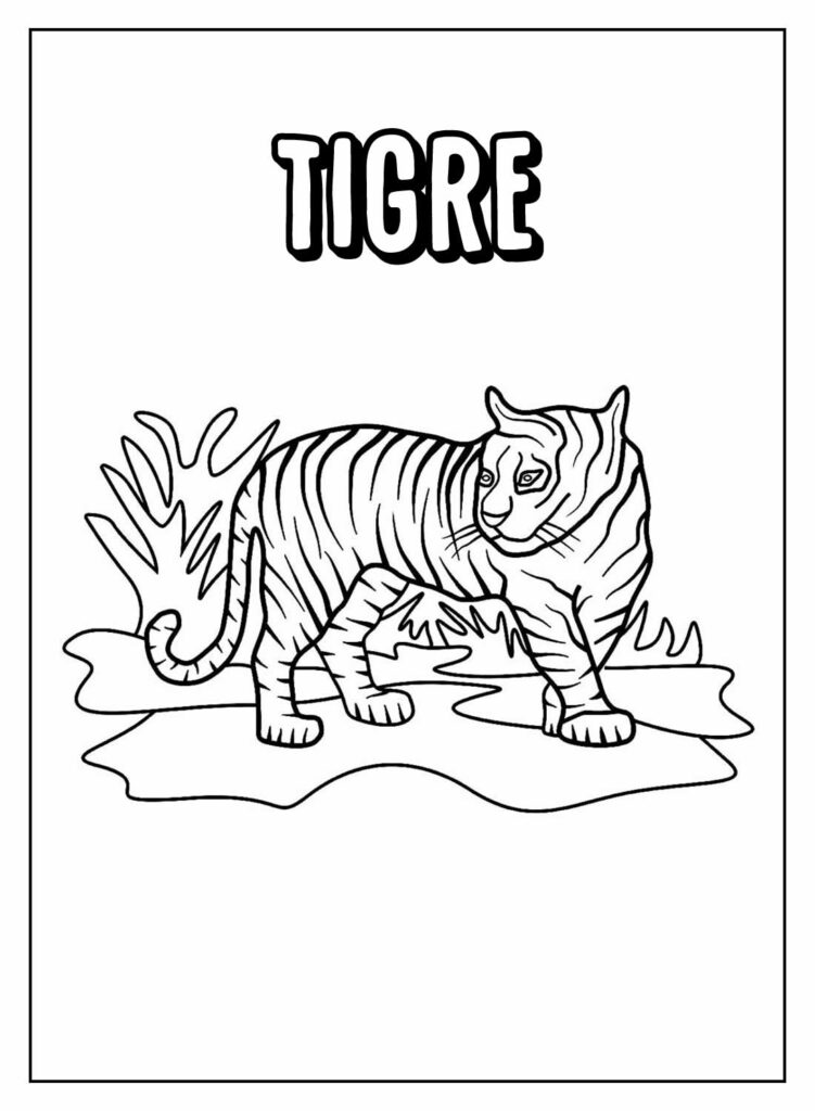 Desenhos Educativos de Tigre para colorir