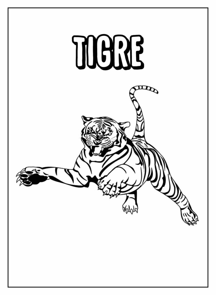 Desenhos Educativos de Tigre para colorir