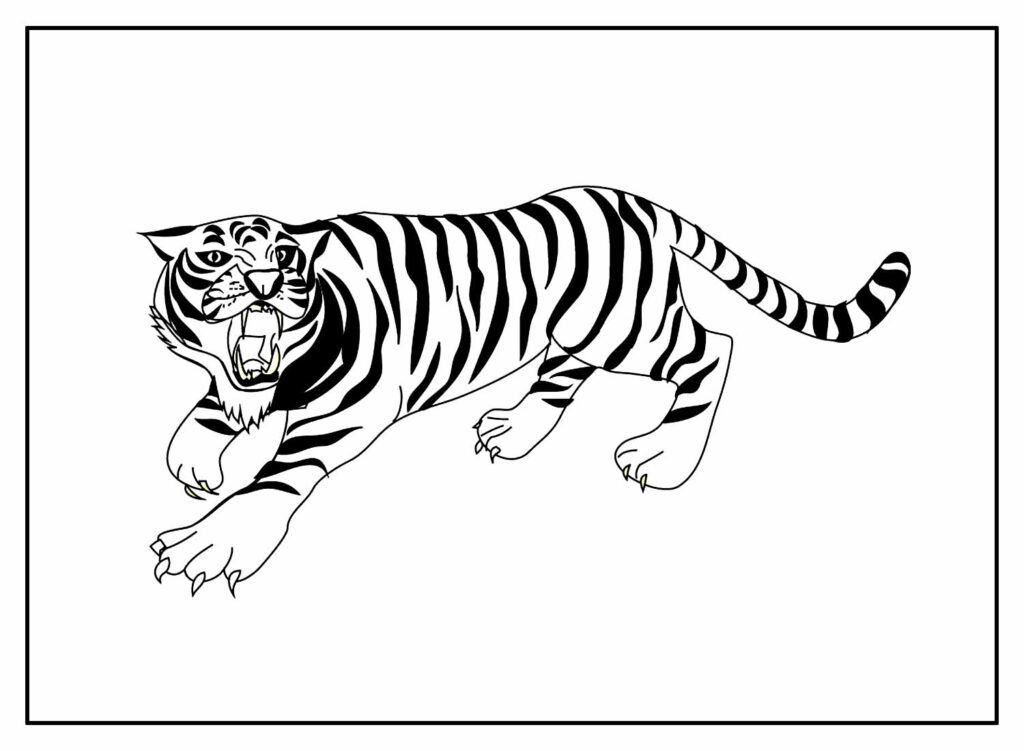 Desenho para colorir de Tigre