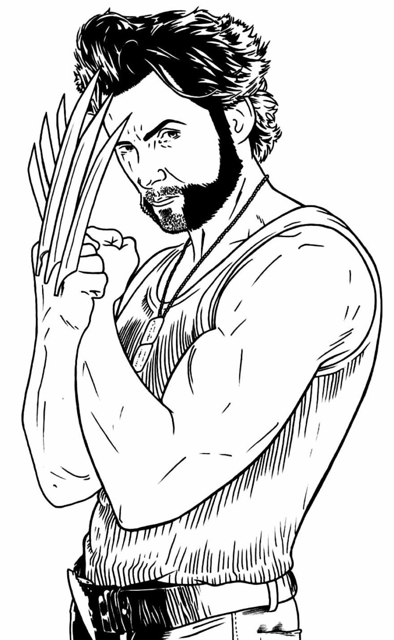 Desenhos Do Wolverine Para Colorir Bora Colorir