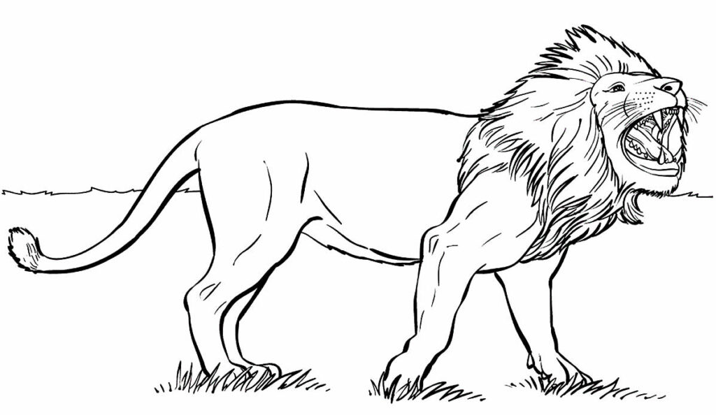 Leão para colorir