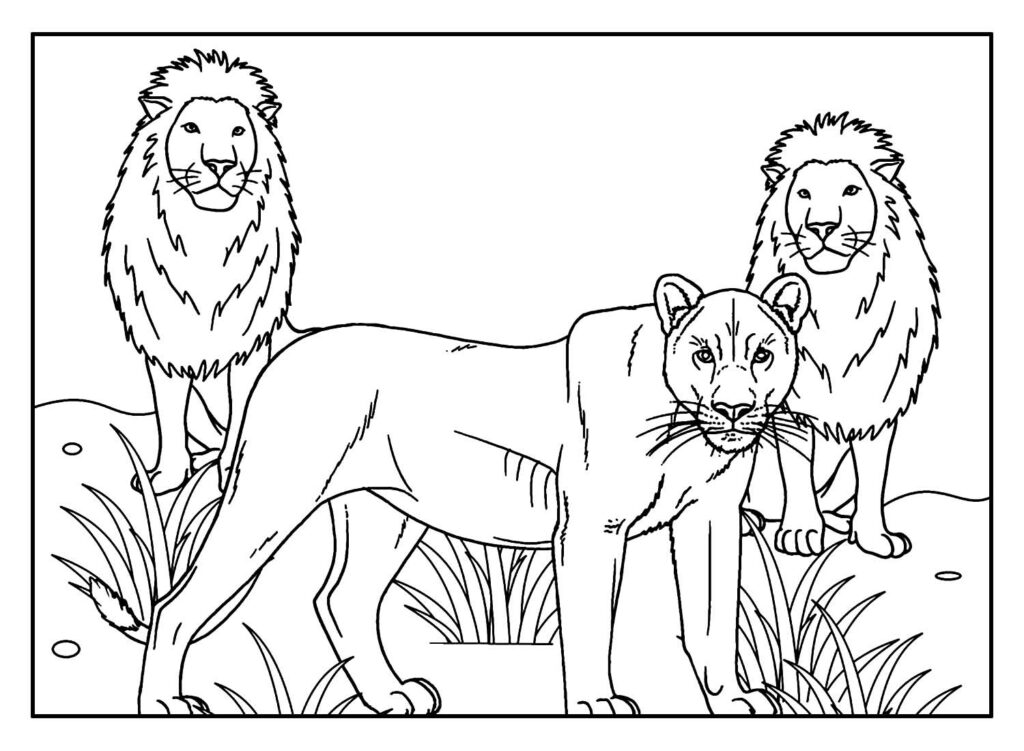 Desenho realista de Leão para colorir