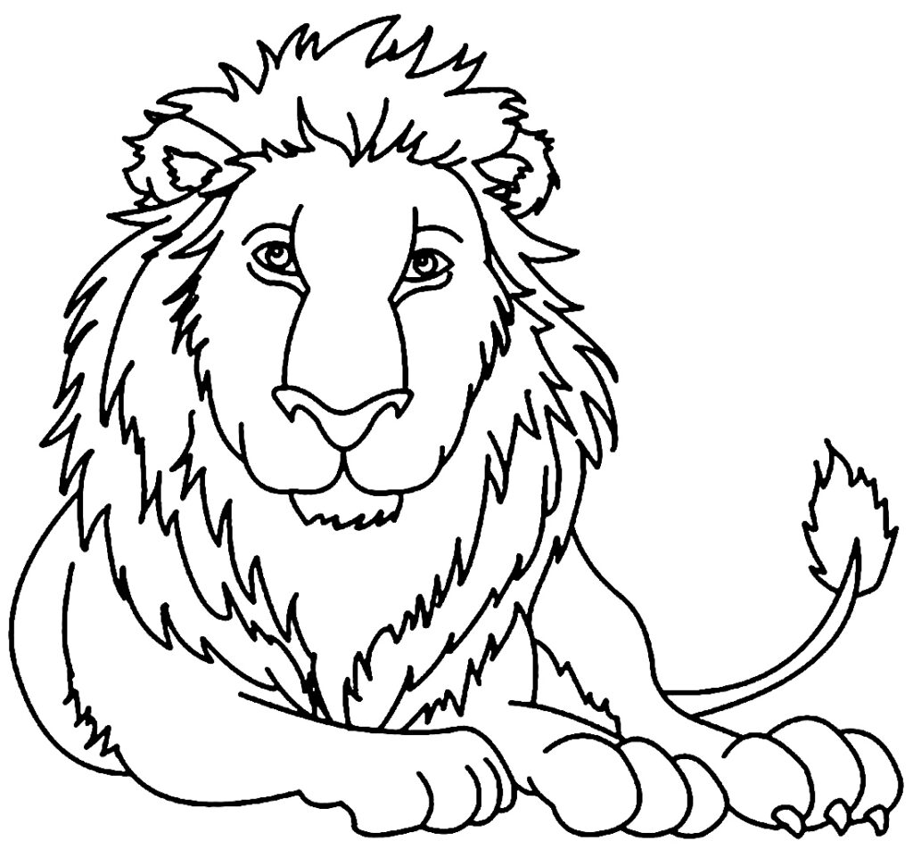 Desenho Leão Colorir