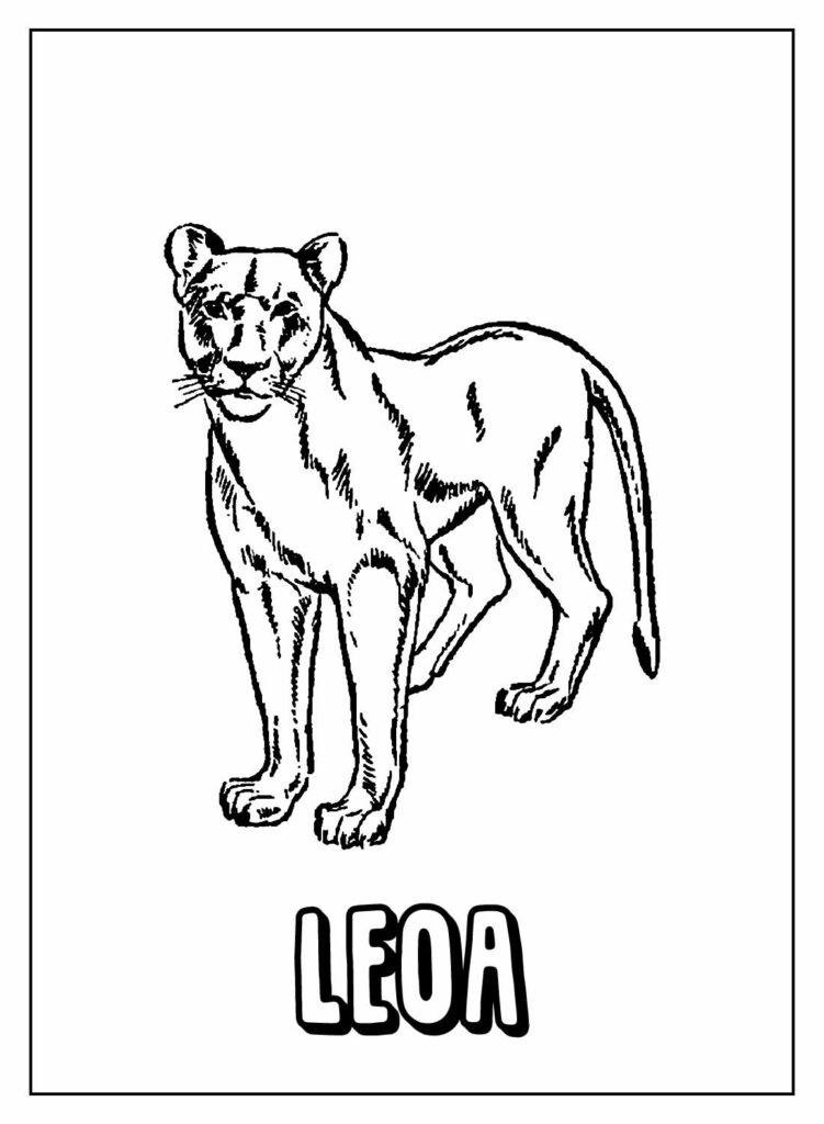 Desenho Educativo de Leoa para colorir