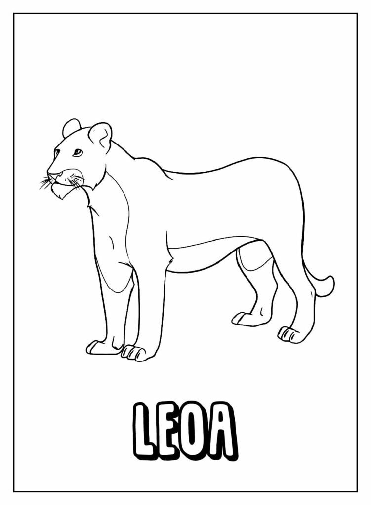 Desenho Educativo de Leoa para colorir