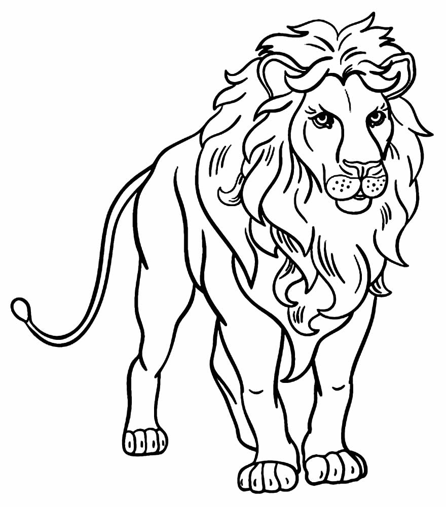 Desenho para colorir de Leão