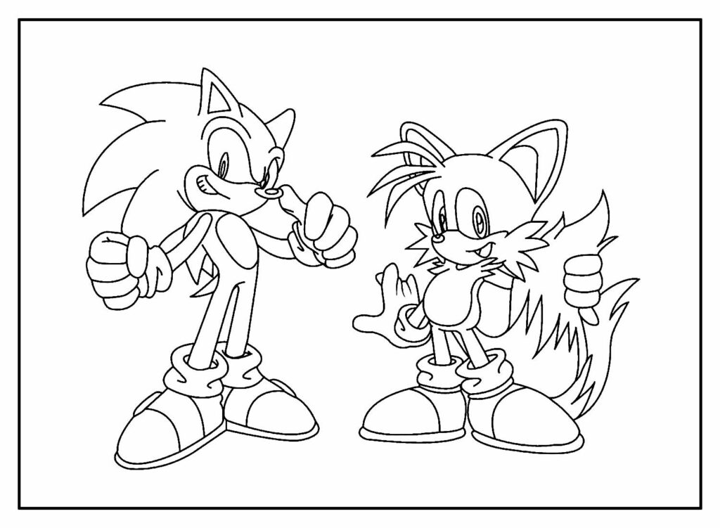 Conjunto para colorir do Sonic multicolorido ㅤ, Colorir de licença