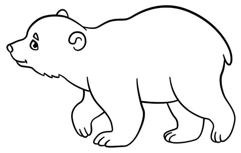 Desenhos de Urso para colorir - Bora Colorir