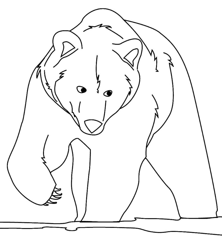 Desenho de Urso para pintar