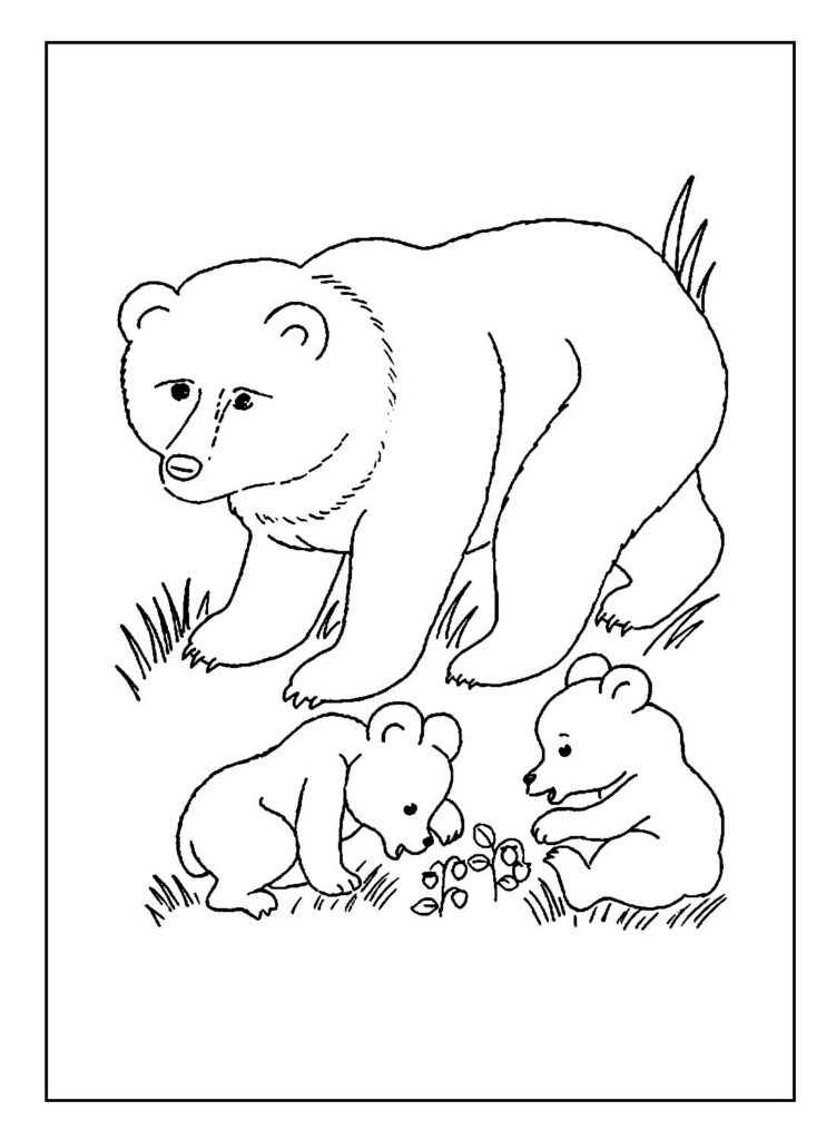 Páginas para colorir de Urso