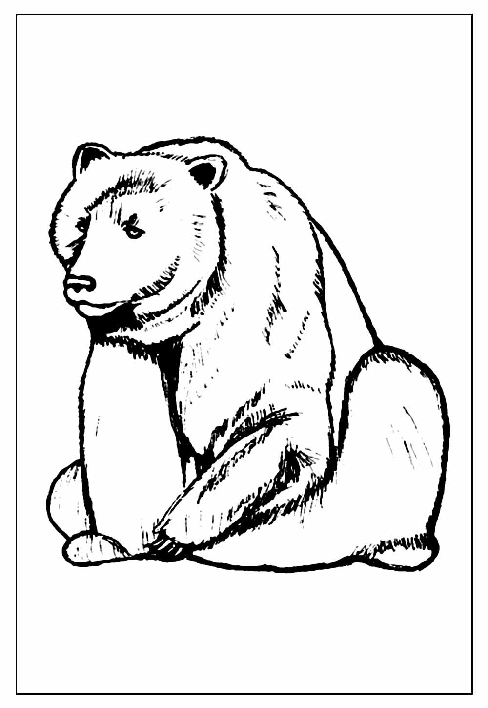 Desenho de Urso para colorir