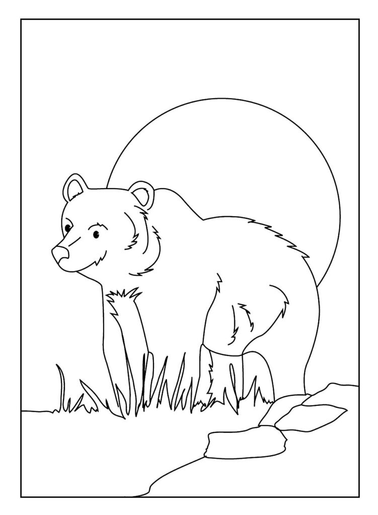 Desenhos para colorir de Urso