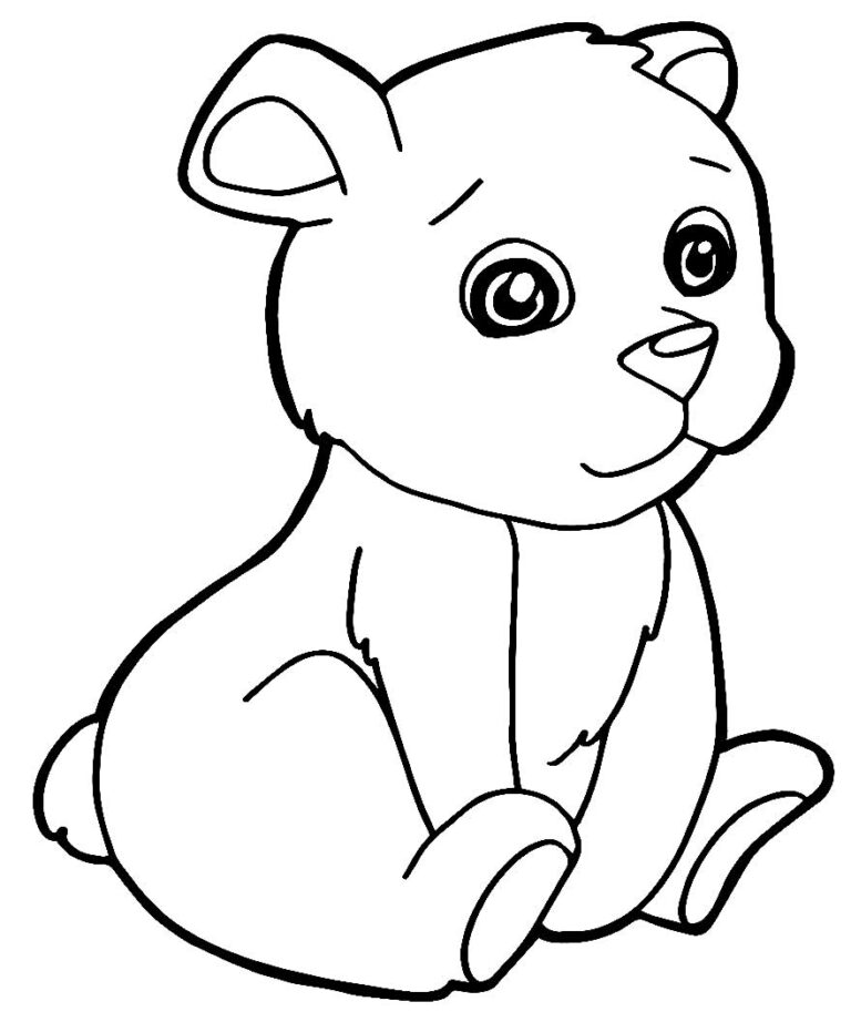 Desenhos De Urso Para Colorir Bora Colorir