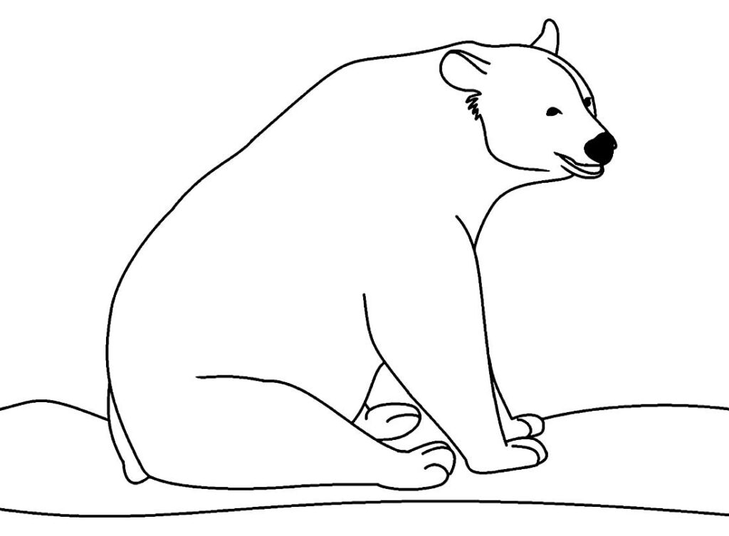 Desenho de Urso