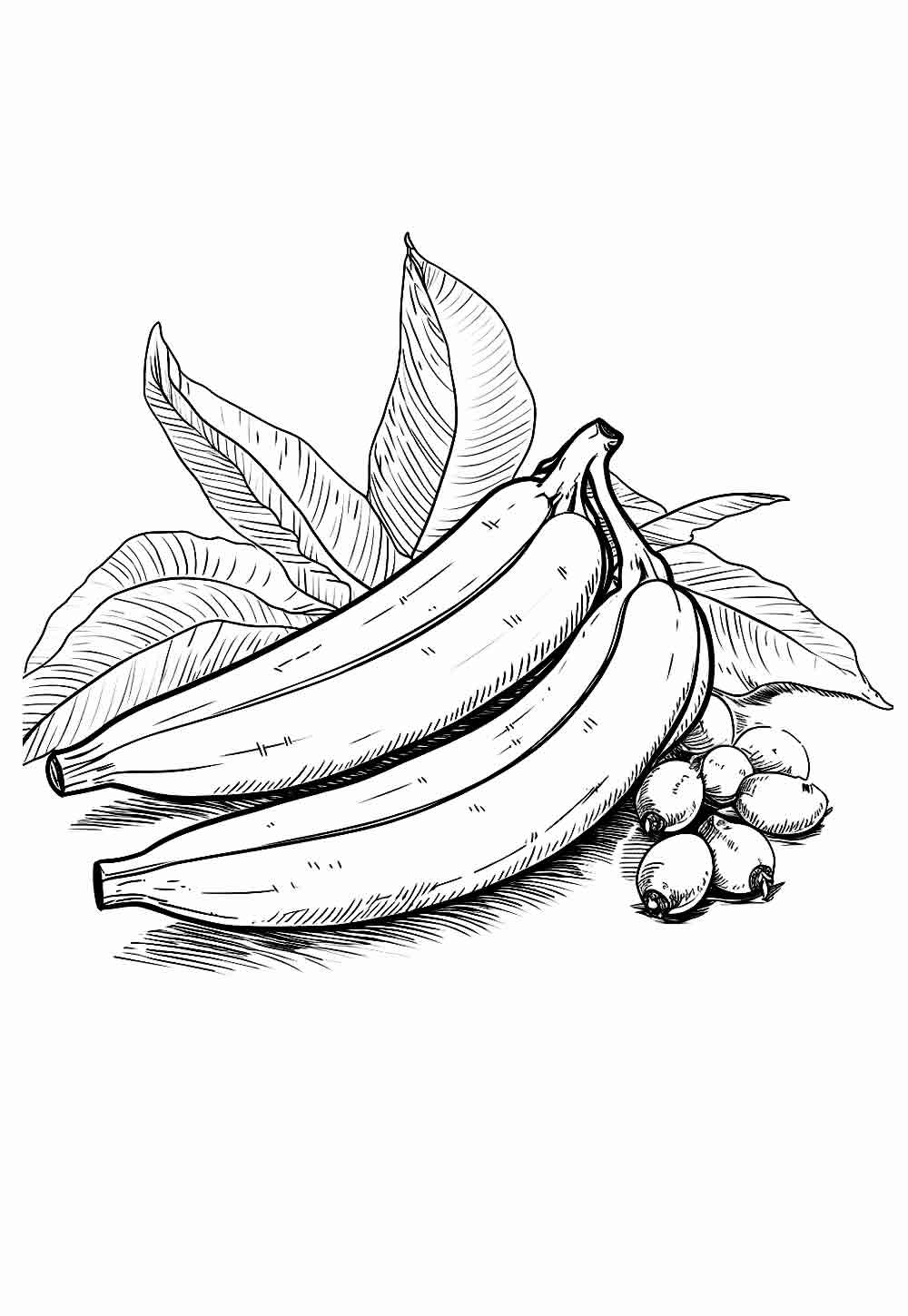 Desenho de Fruta para pintar
