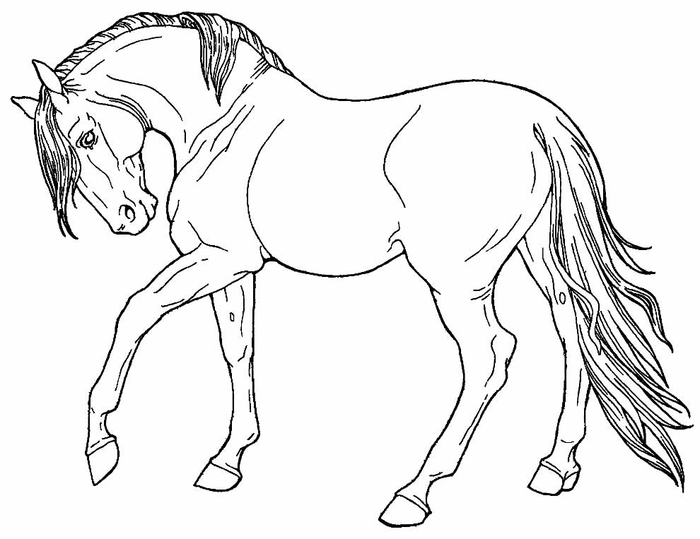 Cavalo para colorir