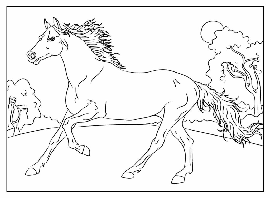 Cavalos para colorir