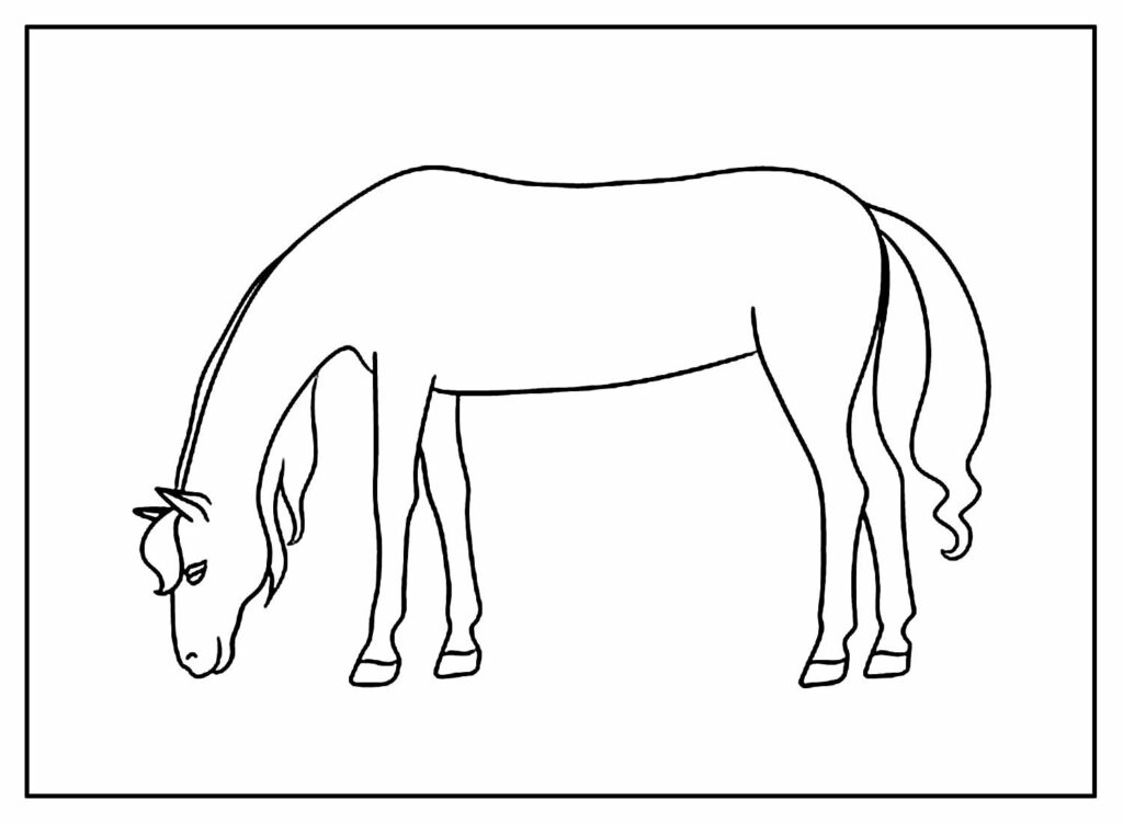 Desenhos para colorir Cavalo