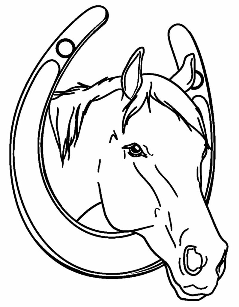 Desenhos Cavalo Colorir