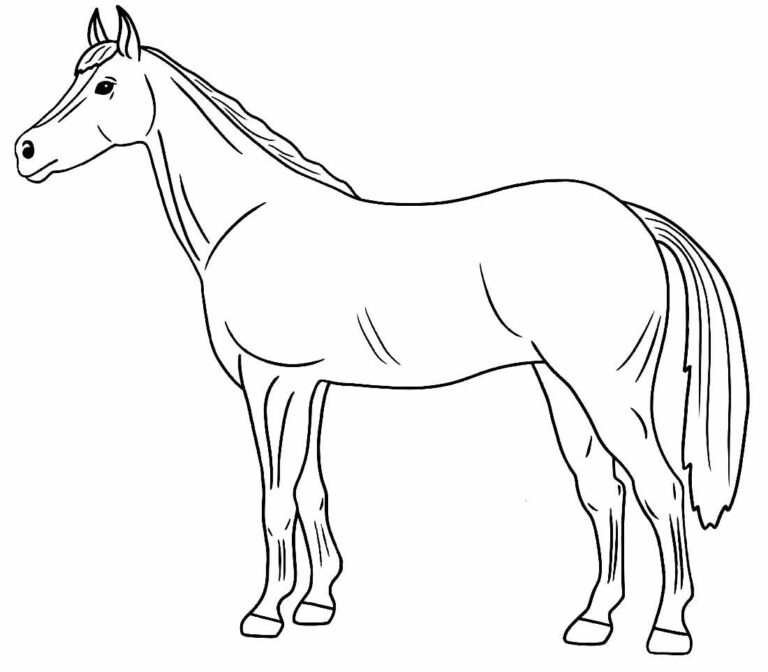 Desenhos de Cavalo para colorir - Bora Colorir