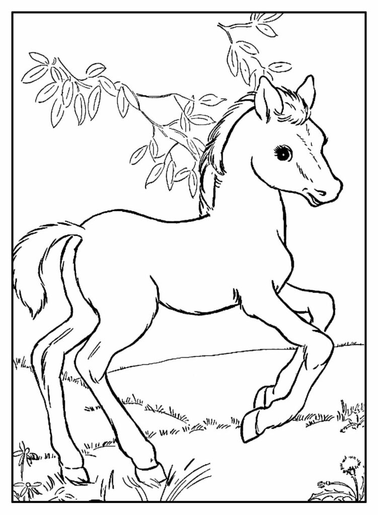Desenhos para colorir Cavalos
