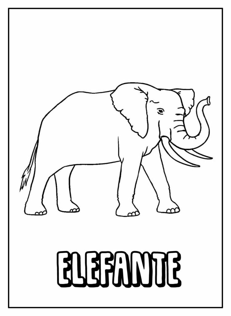 Elefante para pintar e colorir - Desenho com nome