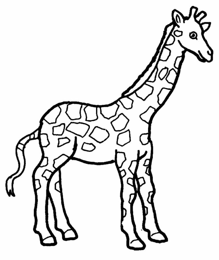 Desenhos de Girafa para colorir - Bora Colorir