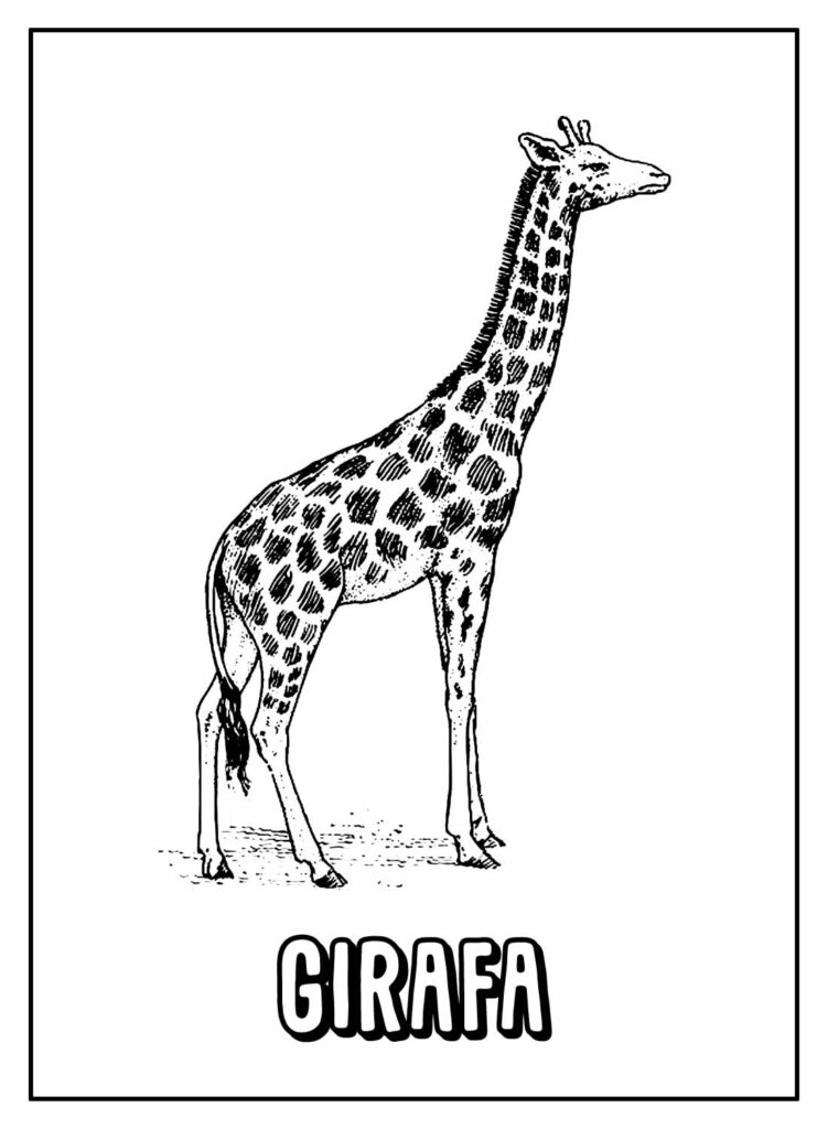 Desenho de Girafa para pintar com nome