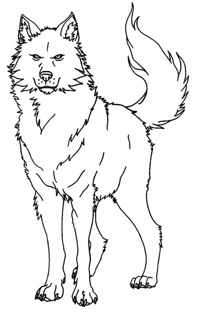 Colorir desenho de Lobo