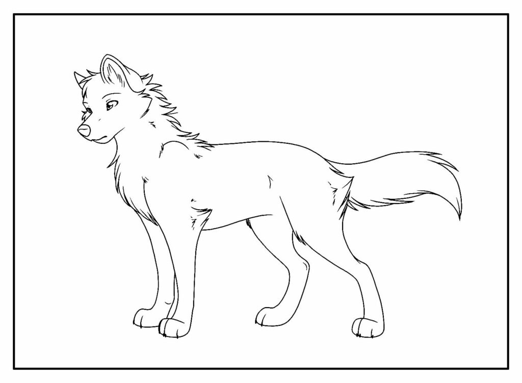 Desenhos Lobo Pintar