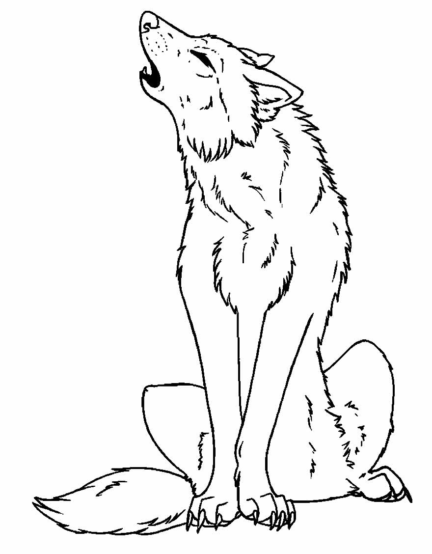 Desenhos De Lobo Para Colorir Bora Colorir