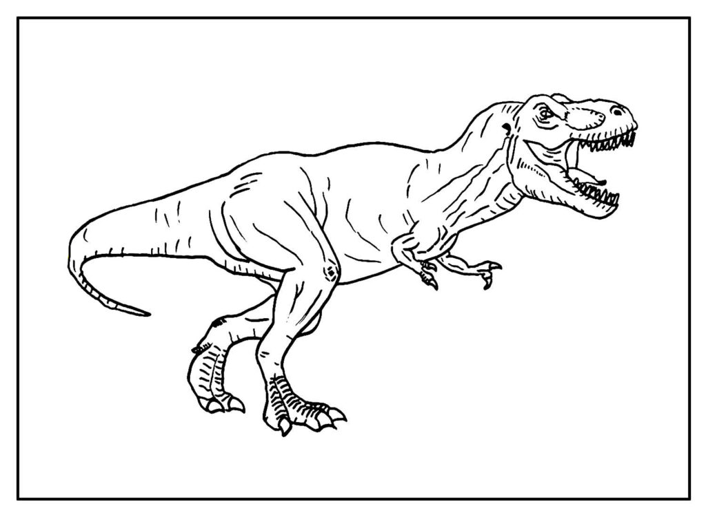 Desenhos de T-Rex para colorir e imprimir