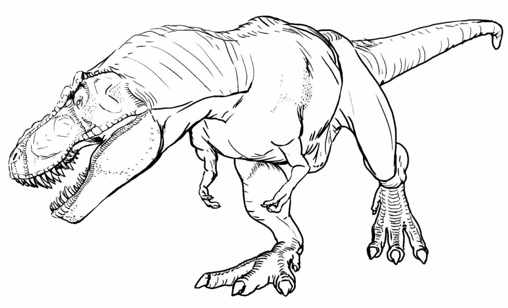 Desenho de T-Rex para pintar e colorir