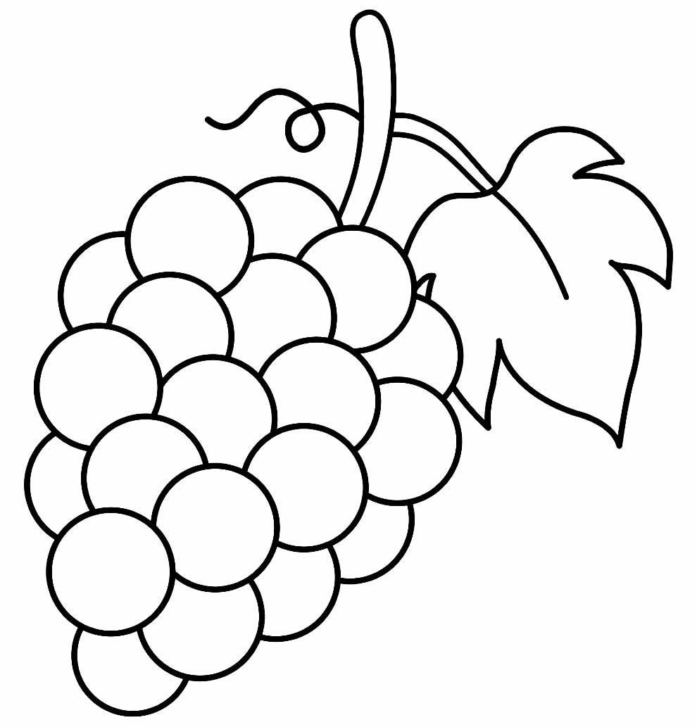 Desenhos de Uva para colorir - Bora Colorir