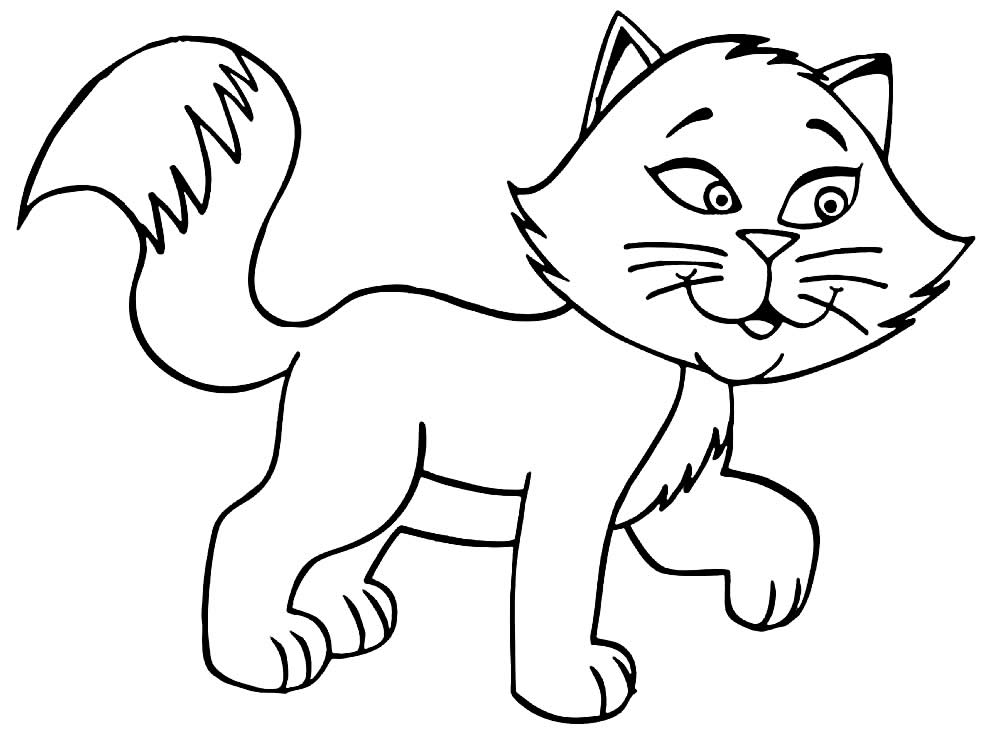 Desenhos de Gato para colorir